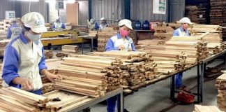 Doanh nghiệp ngành gỗ gặp khó khi hoàn thuế giá trị gia tăng