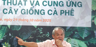 Hoàng Anh Gia Lai đầu tư mạnh mẽ, trồng mới 10.000 ha cà phê