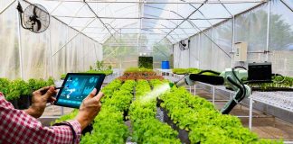 Gỡ ‘hòn đá tảng’ cản bước HTX chuyển đổi số