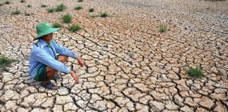 Sẽ phát triển phương pháp dự báo hạn hán sớm vài tháng