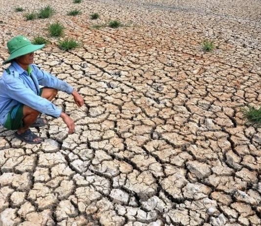 Sẽ phát triển phương pháp dự báo hạn hán sớm vài tháng