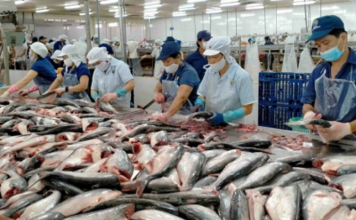 Trung Quốc vẫn dẫn đầu danh sách nhập cá tra Việt Nam