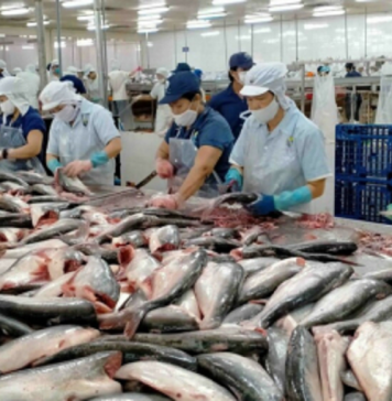 Trung Quốc vẫn dẫn đầu danh sách nhập cá tra Việt Nam