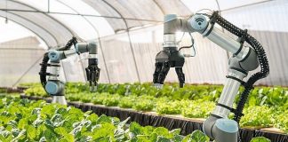 Cần cơ chế đặc thù để phát triển nhân lực nông nghiệp chất lượng cao