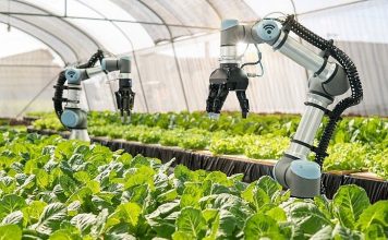 Cần cơ chế đặc thù để phát triển nhân lực nông nghiệp chất lượng cao