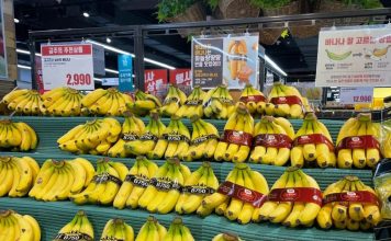 Hoàng Anh Gia Lai (HAG) lãi 1.312 tỷ, vượt 18% kế hoạch cả năm