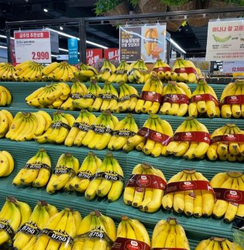 Hoàng Anh Gia Lai (HAG) lãi 1.312 tỷ, vượt 18% kế hoạch cả năm