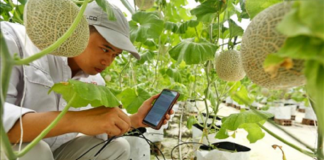 Chuyển đổi số có đang đè nặng doanh nghiệp nhỏ?