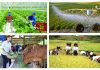 Cơ hội để nông nghiệp, nông thôn phát triển