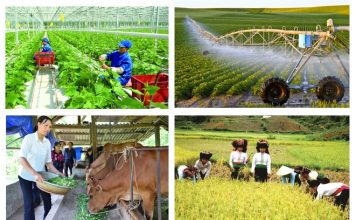 Cơ hội để nông nghiệp, nông thôn phát triển