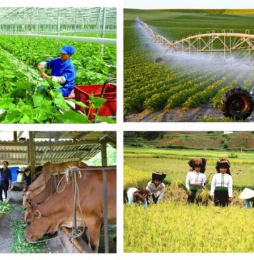 Cơ hội để nông nghiệp, nông thôn phát triển