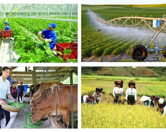 Cơ hội để nông nghiệp, nông thôn phát triển