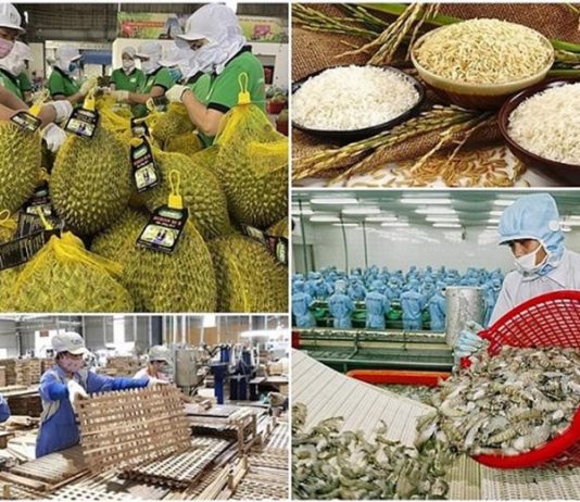 Hơn 231 nghìn doanh nghiệp gia nhập và tái gia nhập thị trường trong tháng 9