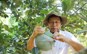 Mô hình mới là động lực giúp nông dân một huyện ở Hà Giang nâng cao thu nhập, giảm nghèo bền vững