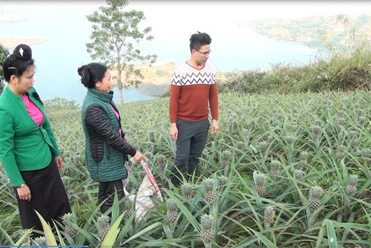 Nông dân miền núi làm gì để thoát nghèo