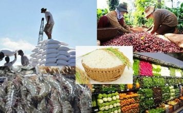 Thúc đẩy chuỗi cung ứng nông sản Việt Nam – Hoa Kỳ