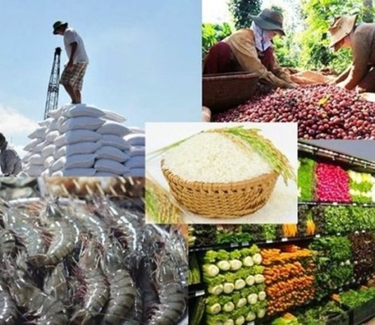 Thúc đẩy chuỗi cung ứng nông sản Việt Nam – Hoa Kỳ