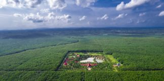 Cao su Chư Sê Kampong Thom đưa thương hiệu “VRG GREEN” vươn ra quốc tế