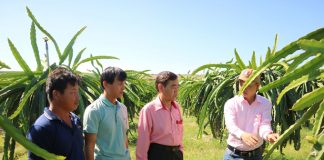 Thiết lập hệ thống xét cấp chứng nhận minh bạch cho sản phẩm hữu cơ