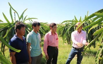 Thiết lập hệ thống xét cấp chứng nhận minh bạch cho sản phẩm hữu cơ