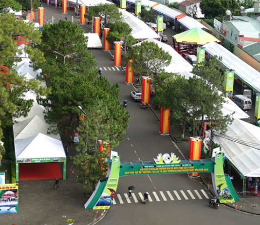 Gia Lai: Thương mại về bản, nông sản ra phố