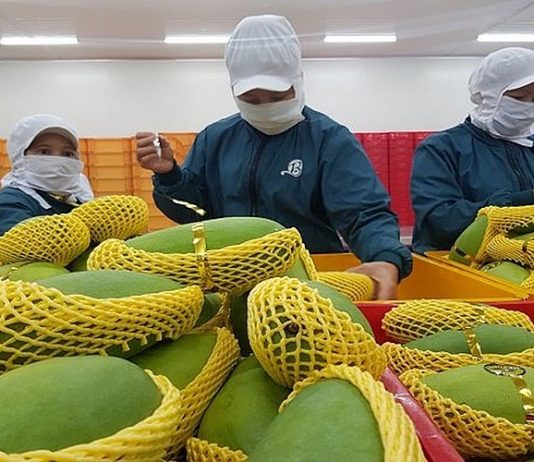 Xuất khẩu rau quả sắp vượt 8 tỷ USD