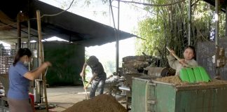 Trang trại nấm hương “khủng” ở Cao Bằng, bất ngờ nhất là trồng nấm hương trái vụ, cả làng phục lăn