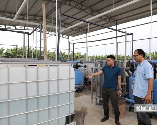 Doanh nghiệp Việt cùng nông dân đưa nông sản vươn tầm quốc tế