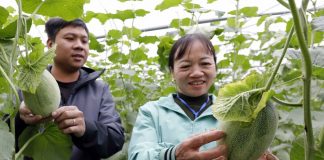 Tận dụng lợi thế, thu hút nhiều nhà đầu tư lớn vào nông nghiệp công nghệ cao