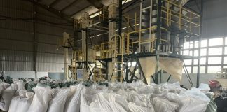 Xuất khẩu nông lâm thủy sản tăng trưởng bứt phá, kỳ vọng “về đích” với 70 tỷ USD