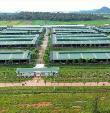 Chủ tịch tỉnh Gia Lai làm việc với THACO AGRI, bàn giải pháp gỡ vướng cho dự án nông nghiệp