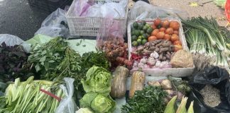 Mưa lũ kéo dài, giá thực phẩm đẩy CPI tháng 10 tăng nhẹ