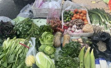 Mưa lũ kéo dài, giá thực phẩm đẩy CPI tháng 10 tăng nhẹ