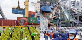 Việt Nam xuất siêu 19,56 tỷ USD, chuyên gia dự báo kỷ lục mới