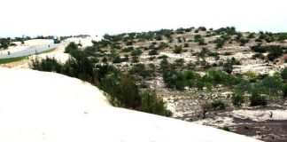 Nữ cán bộ đánh thức tiềm năng vùng gió Lào, cát trắng