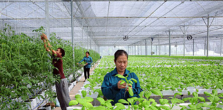 Cuộc thi khởi nghiệp nông nghiệp 2025: Khi ý tưởng công nghệ đến gần ruộng đồng