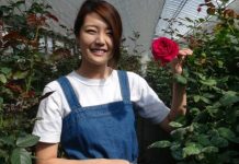 Làm giàu từ hoa hồng organic