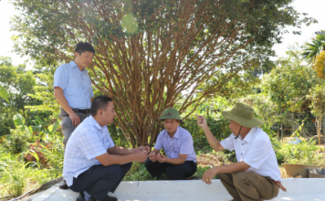 Mô hình mới là động lực giúp nông dân một huyện ở Hà Giang nâng cao thu nhập