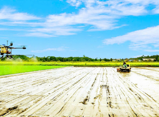 Ngành nông nghiệp và môi trường trong chuyển đổi xanh và phát triển bền vững đất nước