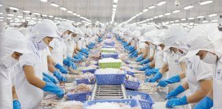 Thủy sản Việt Nam đón tín hiệu lạc quan từ thị trường Mỹ