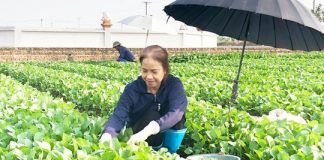 Xây dựng người nông dân Thủ đô thời kỳ mới