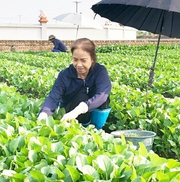 Xây dựng người nông dân Thủ đô thời kỳ mới