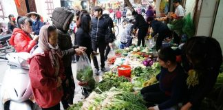 Chất lượng nông sản nội địa: Khi không ai dám chịu trách nhiệm cuối cùng