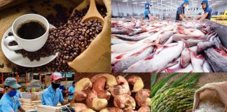 Xuất khẩu nông, lâm, thủy sản tăng tốc, hướng mục tiêu 70 tỷ USD năm 2025