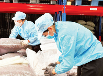 Tạo giá trị gia tăng, bền vững cho nông sản