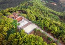 Khi sản phẩm OCOP trở thành động lực mới cho miền quả ngọt