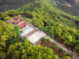 Khi sản phẩm OCOP trở thành động lực mới cho miền quả ngọt