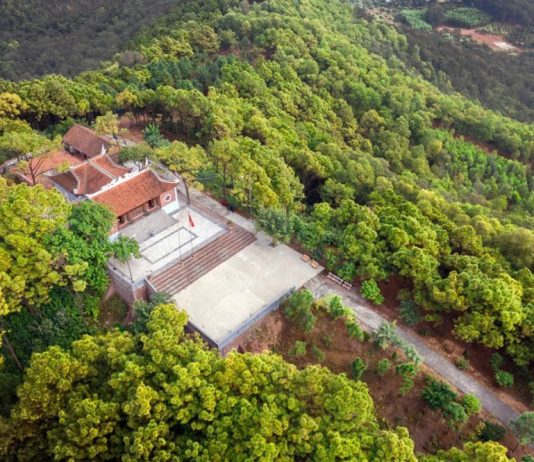 Khi sản phẩm OCOP trở thành động lực mới cho miền quả ngọt