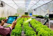 Gỡ ‘hòn đá tảng’ cản bước HTX chuyển đổi số