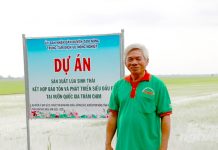 Độc đáo mô hình ‘lúa gọi sếu về’